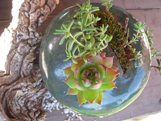 porte plante Poterie de Lucante