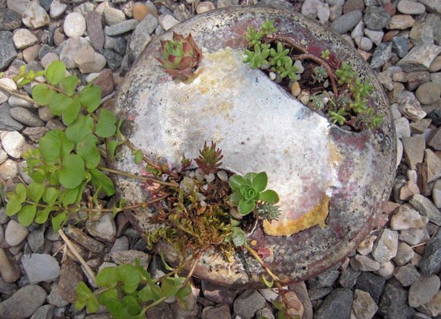 porte plante Poterie de Lucante